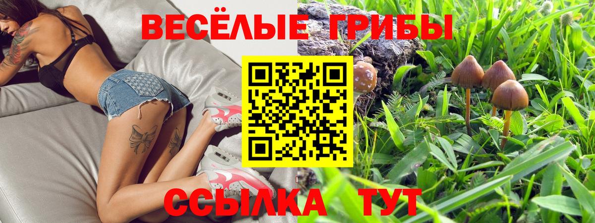 Барнаул  Псилоцибиновые грибы прущие грибы  даркнет сайт  Вход с VPN 