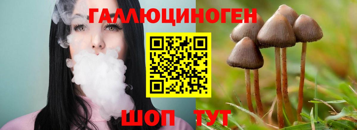 Галлюциногенные грибы мицелий Барнаул
